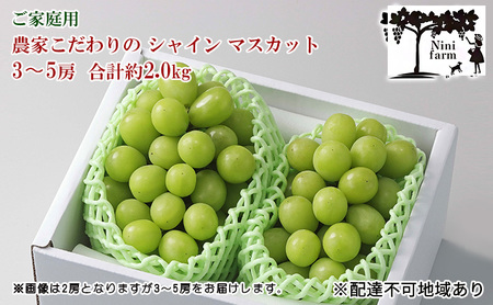 ぶどう 2026年 先行予約 【平均糖度20度】ご家庭用 農家こだわりの シャイン マスカット 3～5房 合計約2.0kg ブドウ 葡萄 岡山県産 国産 フルーツ 果物 【 Nini farm 農家 直送 】