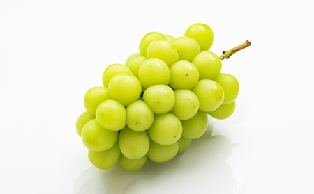 ぶどう 2026年 先行予約 詰合/ニューピオーネ 1房(480g以上)・シャインマスカット 晴王 1房(480g以上) 化粧箱入り ブドウ 葡萄 岡山県産 国産 フルーツ 果物 ギフト