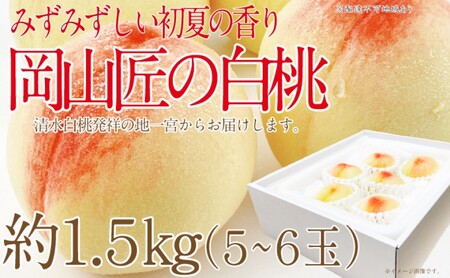 もも 2026年 先行予約 岡山匠の白桃 約1.5kg 5～6玉 犬塚農園 岡山県産  桃 モモ ギフト 初夏 みずみずしい