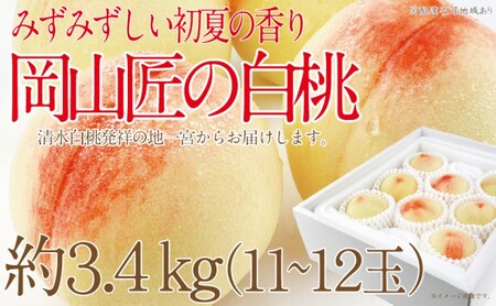 もも 2026年 先行予約 岡山匠の白桃 約3.4kg 11～12玉 犬塚農園 岡山県産  桃 モモ ギフト 初夏 みずみずしい