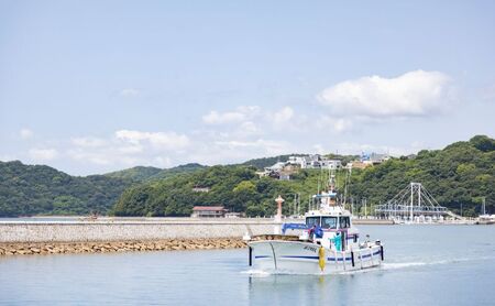 しらす干し 食べきり 小分けパック （35g×3袋入）×4個 420g 瀬戸内海産 【しらす しらす干し 釜揚げ 太白ちりめん ちりめんじゃこ 牛窓しらす しらす丼 ごはん ごはんのお供 食べ切り  小分け ギフト 贈答 岡山県 瀬戸内市 牛窓  服部水産】