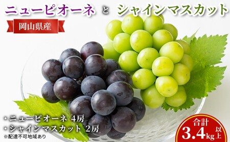 ぶどう 【2026年 先行予約】 ニュー ピオーネ 4房と シャインマスカット 2房(合計3.4kg以上) マスカット ブドウ 葡萄　岡山県産 国産 フルーツ 果物 ギフト
