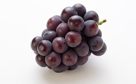 ぶどう 【2026年 先行予約】 ニュー ピオーネ 4房と シャインマスカット 2房(合計3.4kg以上) マスカット ブドウ 葡萄　岡山県産 国産 フルーツ 果物 ギフト