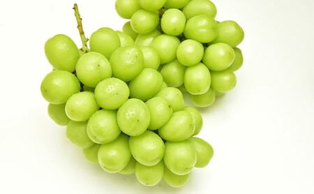 ぶどう 【2026年 先行予約】 ニュー ピオーネ 4房と シャインマスカット 2房(合計3.4kg以上) マスカット ブドウ 葡萄　岡山県産 国産 フルーツ 果物 ギフト