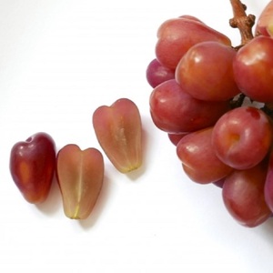 ぶどう 2026年 先行予約 農家こだわりのシャインマスカット＆ハート型のマイハート  合計約1.2kg ブドウ 葡萄 岡山県産 国産 フルーツ 果物 ギフト 【 Nini farm 農家 直送 】