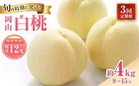 【2026年先行受付】 白桃 3回 定期便 特秀 ロイヤル 大玉 岡山県産 桃 もも モモ 御中元 ギフト 御礼 プレゼント 御礼 御祝 御供 果物 くだもの フルーツ 6,840円