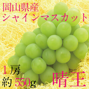 ぶどう 2026年 先行予約 9月・10月発送 シャインマスカット 晴王 1房 約550g ブドウ 葡萄 岡山県産 国産 フルーツ 果物 ギフト
