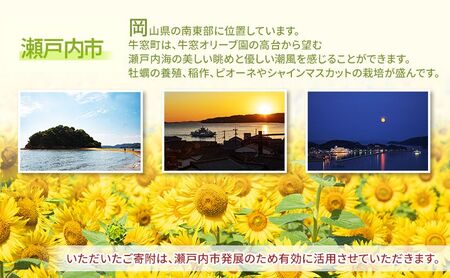 瀬戸内市への応援寄附(返礼品はありません)1口 5,000円 返礼品なし