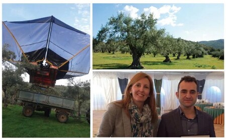 【高島屋選定品】日本オリーブ 有機栽培 エキストラバージン オリーブオイル シングル 450g×2本