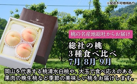 【2026年度発送】岡山の桃 3種 食べ比べ 3回 お届け 定期便 （7月・8月・9月） もも モモ 岡山県産 国産 フルーツ 果物