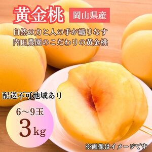 2026年 先行予約 岡山県産 黄色い桃 匠の黄金桃 3kg箱 6～9玉 内田農園 桃 果物 もも