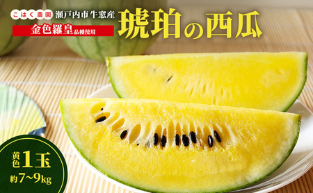 スイカ 瀬戸内市牛窓産 琥珀の西瓜【金色羅皇品種使用】黄色 1玉(約7~9kg) スイカ