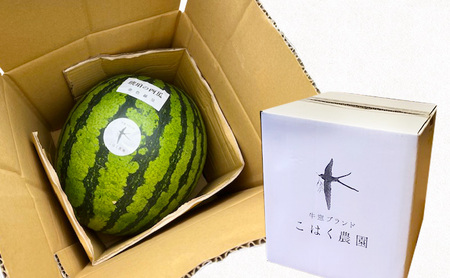 スイカ 瀬戸内市牛窓産 琥珀の西瓜【金色羅皇品種使用】黄色 1玉(約7~9kg) スイカ