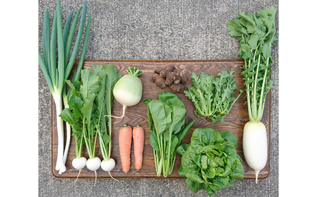 ORGANIC FARM 風の谷 旬の自然栽培野菜 7~9品目