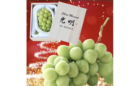 ぶどう 早期受付 極上追熟 シャイン マスカット 1房 650g以上 「光明」桐箱入り ブドウ 葡萄  岡山県産 国産 フルーツ 果物 ギフト 桃茂実苑 果物類 