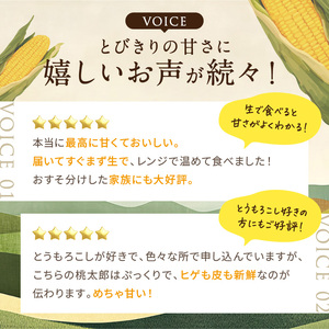 ［2026年先行予約］牛窓産とうもろこし まるでフルーツ！最高糖度25度超え 生で甘い、茹でて美味い！ 黄色 とうもろこし 「桃太郎コーン」約4kg（8～12本入り） 野菜 