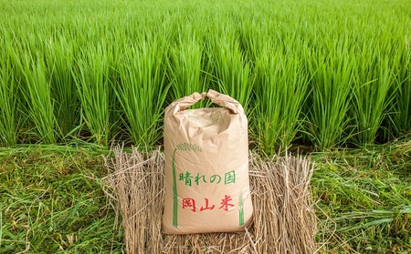 米 令和6年産 「 ヒノヒカリ 」 玄米 30kg（精米用） 岡山県瀬戸内市産 お米 