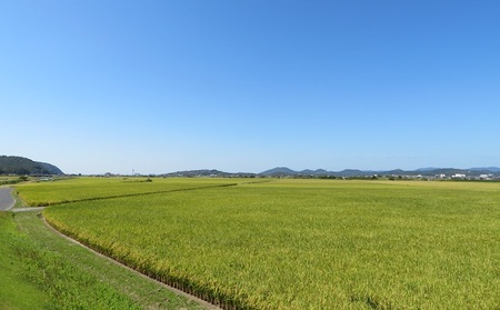 米 令和6年産 「 ヒノヒカリ 」 玄米 30kg（精米用） 岡山県瀬戸内市産 お米 