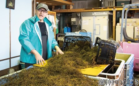 生炊きだからおいしい 瀬戸内 ひじき 28g×3袋 エビス水産【岡山 瀬戸内海 鉄釜炊 生炊 天然 乾燥】