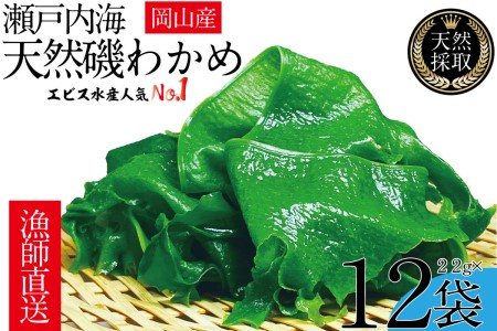 風味豊かな 瀬戸内 わかめ 22g×12袋 エビス水産【岡山 瀬戸内海 天然 カットわかめ】 常備菜 無添加 無着色 味噌汁 炊き込み