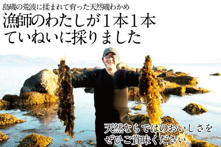 湯通し塩蔵 瀬戸内 わかめ 500g×2袋【岡山 瀬戸内海 天然 塩蔵】 無添加 無着色 健康 味噌汁 炊き込み サラダ 