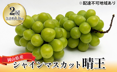 ぶどう 2026年 先行予約 シャイン マスカット 晴王 2房 （合計約1.1kg） 化粧箱入り マスカット ブドウ 葡萄  岡山県産 国産 フルーツ 果物 ギフト 