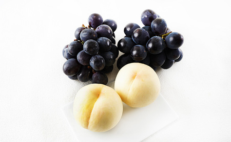 桃 ぶどう 2026年 先行予約 果物詰合せ 白桃 2玉（1玉200g以上） ニュー ピオーネ 2房（合計約940g）化粧箱入り 岡山県産 国産 フルーツ 果物 ギフト  贈り物 セット 