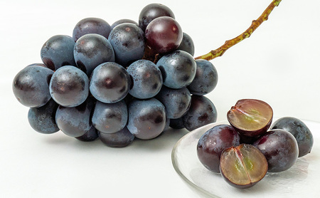 ぶどう 2026年 先行予約 ニュー ピオーネ 4房（1房480g以上）約2kg ブドウ 葡萄  岡山県産 国産 フルーツ 果物 ギフト 甘みが強い 酸味 皮離れがいい 大粒 食べ応え 