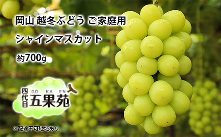 越冬 ぶどう ご家庭用 シャイン マスカット 約700g 岡山県産 四代目 五果苑 果物 フルーツ デザート 樹上 完熟 平均糖度20度 減農薬 種なし 皮ごと