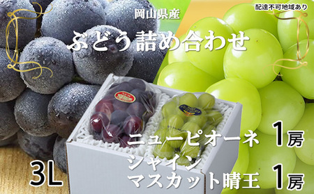 ぶどう 2026年 先行予約 ニュー ピオーネ 1房 約600g シャイン マスカット 晴王 1房 約600g 詰め合わせ 8月下旬～9月下旬発送 岡山県産 国産 フルーツ 果物 ギフト 岡山の葡萄 食べ比べ