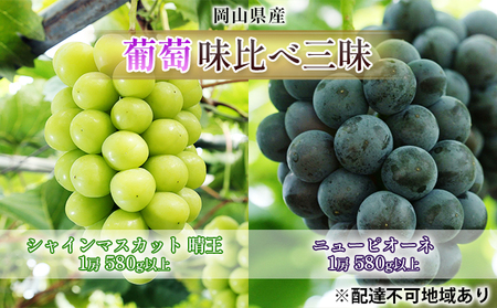 ぶどう 2026年 先行予約 葡萄 味比べ三昧 シャイン マスカット 晴王 1房 580g以上 ニュー ピオーネ 1房 580g以上（ハウス栽培）詰合せ ブドウ 葡萄  岡山県産 国産 フルーツ 果物 ギフト 岡山の葡萄 食べ比べ