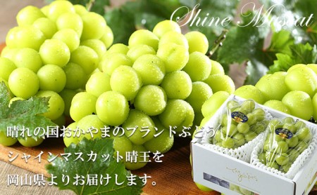 ぶどう 2026年 先行予約 シャイン マスカット 晴王 約600g×2房 8月下旬～11月下旬発送 ブドウ 葡萄  岡山県産 国産 フルーツ 果物 ギフト 岡山の葡萄 デザート 食後 