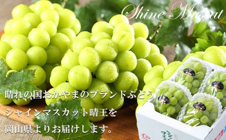 ぶどう 2026年 先行予約 シャイン マスカット 晴王 3房～6房 約1.5kg 8月下旬～11月下旬発送 ブドウ 葡萄  岡山県産 国産 フルーツ 果物 ギフト 岡山の葡萄 デザート 食後 