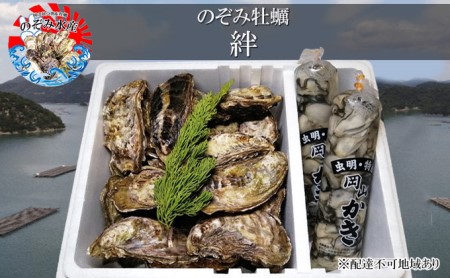 のぞみ 牡蠣  2026年 先行予約 ［絆]  殻付き 約30個（ 三年牡蠣 ） 剥き身 500g×2パック（ 一年牡蠣 ） ナイフ 、 簡単レシピ 付き 魚貝類 海のミルク 海鮮 貝 濃厚 産地直送 殻付き牡蠣 剥き牡蠣