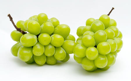 ぶどう 定期便 2026年 先行予約 シャイン マスカット 晴王 各月2房（1房600g以上） 2回コース マスカット ブドウ 葡萄  岡山県産 国産 フルーツ 果物 ギフト 大粒 高級 甘い 弾力 