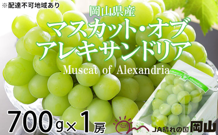 ぶどう 2026年 先行予約 マスカット ・オブ・アレキサンドリア 約700g×1房 ブドウ 葡萄  岡山県産 国産 フルーツ 果物 ギフト 岡山のぶどう 豊かな香り デザート 食後