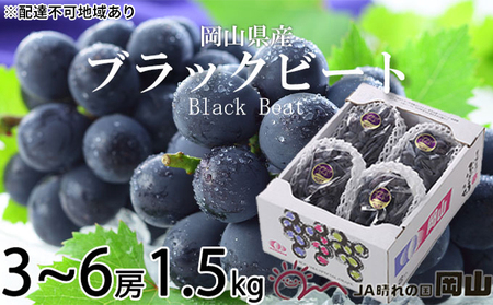 ぶどう 2026年 先行予約 ブラックビート 約1.5kg 3～6房 ブドウ 葡萄  岡山県産 国産 フルーツ 果物 ギフト 岡山のぶどう 岡山の果物 デザート 食後 種無し 大粒 甘味 酸味 バランス