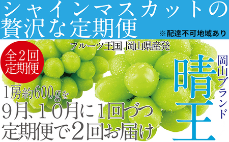 ぶどう 2026年 先行予約 【2回定期便】 シャイン マスカット 晴王 1房 約600g ブドウ 葡萄  岡山県産 国産 フルーツ 果物 ギフト デザート 食後 酸味が少ない 9月・10月にお届け ハレノフルーツ