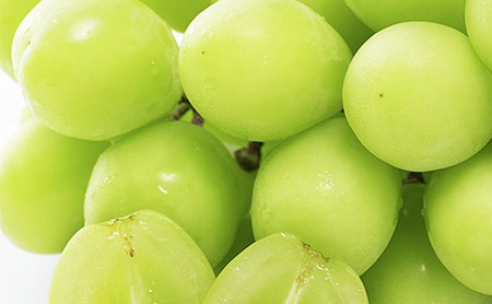 早期受付 シャイン マスカット 1房(500g以上) 桃茂実苑