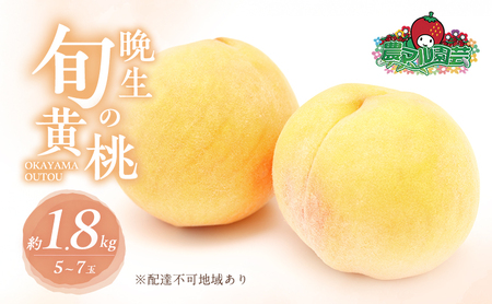 桃 2026年 先行予約 晩生の旬の 黄桃 約1.8kg 5～7玉 進物用 もも フルーツ 果物 岡山 赤磐市産 農マル園芸あかいわ農園