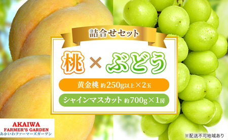 桃 ぶどう 詰合せ 2025年 先行予約 黄金 桃 2玉（1玉250g以上） シャイン マスカット 1房 約700g 岡山県 赤磐市産 フルーツ 果物  あかいわファーマーズガーデン | 岡山県赤磐市 | ふるさと納税サイト「ふるなび」