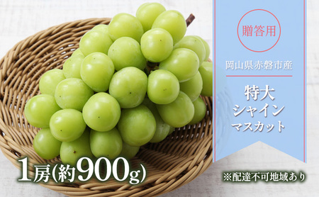 ぶどう 2026年 先行予約 贈答用 特大 シャインマスカット 1房(約900g) ブドウ 葡萄 岡山県 赤磐市産 フルーツ 果物 ギフト