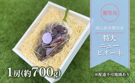 ぶどう 2026年 先行予約 贈答用 特大 ニューピオーネ 1房(約700g) ブドウ 葡萄 岡山県 赤磐市産 フルーツ 果物 ギフト