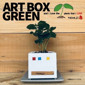 インテリア ART BOX GREEN / 002(□） アートボックス 観葉植物 多肉植物 岡山 赤磐市 takejii craft |  岡山県赤磐市 | ふるさと納税サイト「ふるなび」