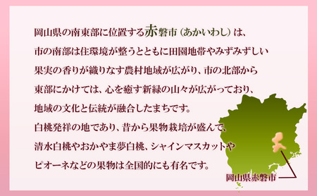 【返礼品なしの寄附】岡山県 赤磐市(1口:10,000円)