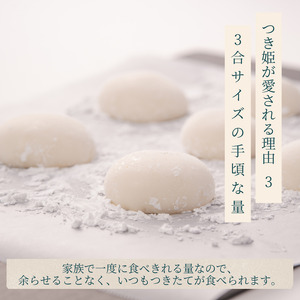 みのる産業 3合餅つき機 つき姫 リッチホワイト 餅つき機 ホワイト