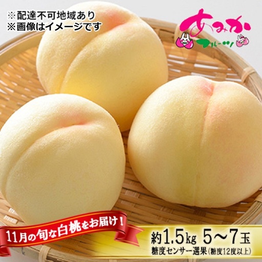 桃 2026年 先行予約 11月の旬な 白桃 冬桃 をお届け！約1.5kg 5～7玉 糖度センサー選果 糖度12度以上 もも モモ 岡山県 赤磐市産 国産 フルーツ 果物 ギフト あみかフルーツ　岡山 旬の桃 少し小ぶり