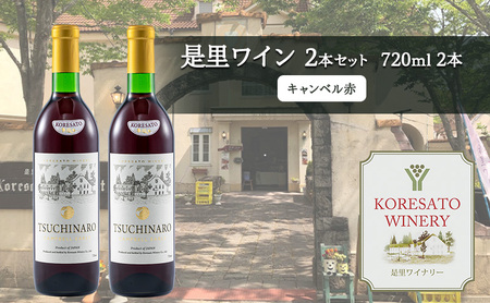 是里 ワイン 果実酒 キャンベル赤 720ml  2本 岡山 赤磐市 お酒