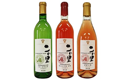 是里ワイン フルーティーワイン味比べ3本セット