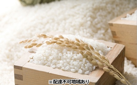 きぬむすめ 精米 5kg 岡山県 赤磐市産 お米